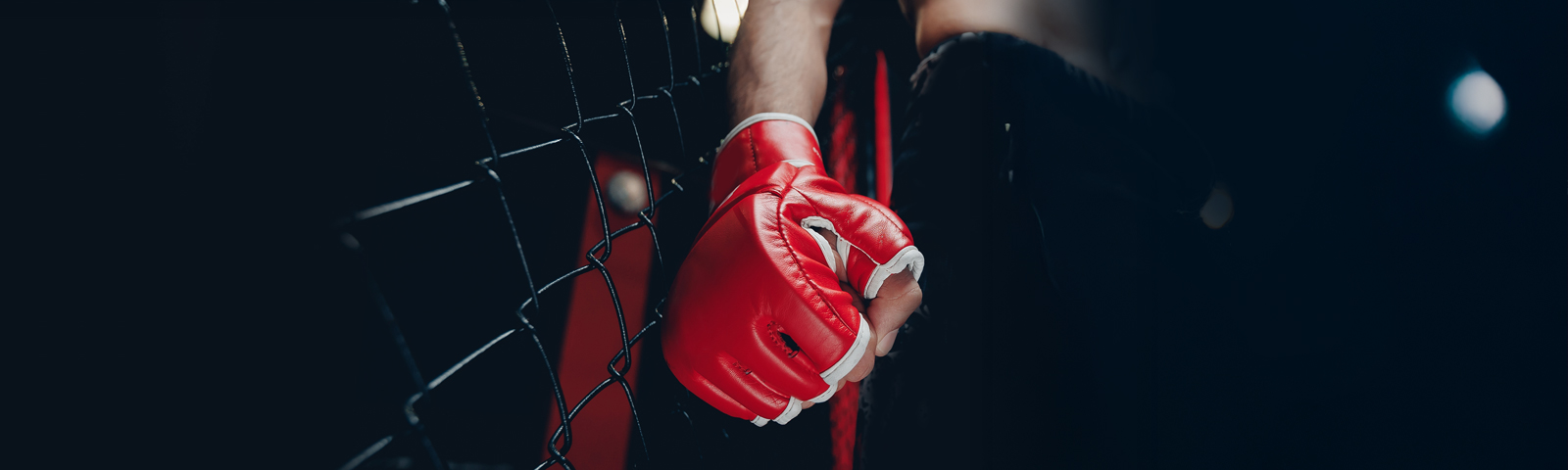 100 000 МБ - 25₾